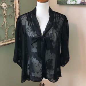 Shear Blouse